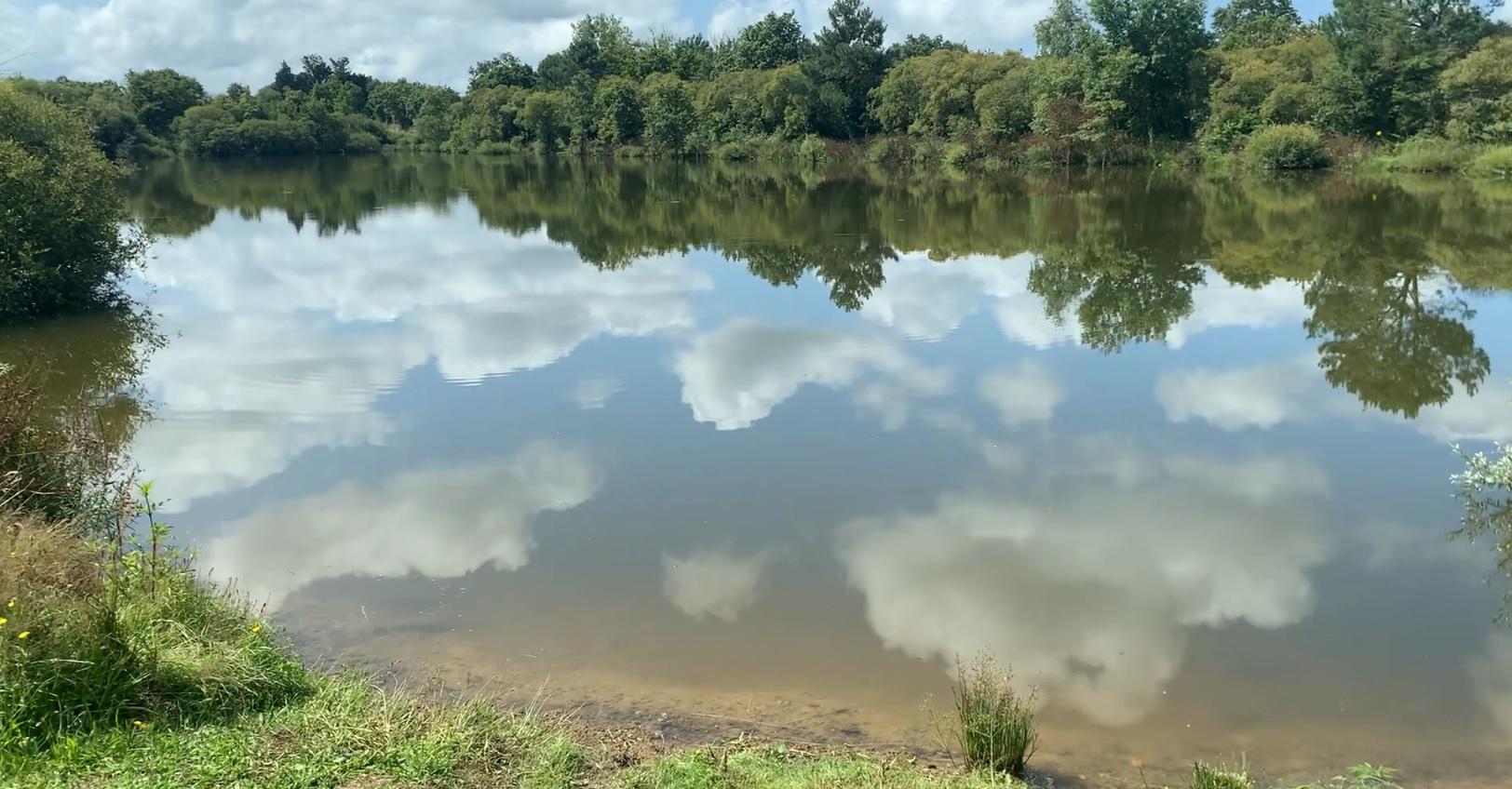 Etang gravière